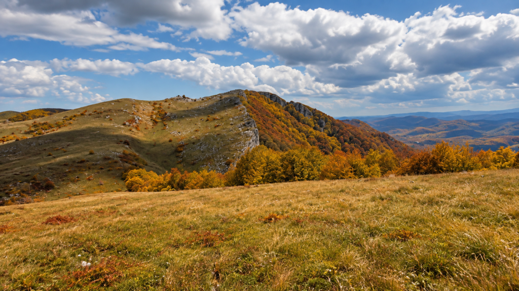Сърбеница