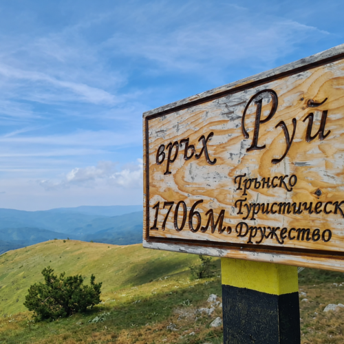 Връх Руй