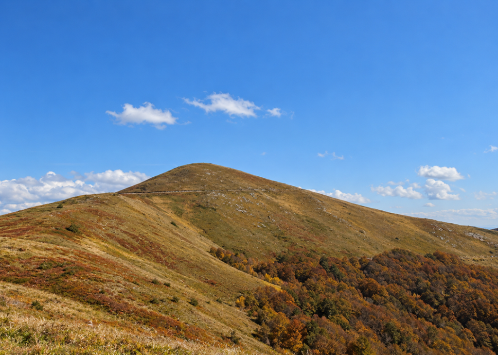 Варденик